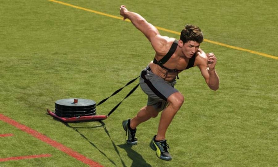 Best Harness For Sled Training