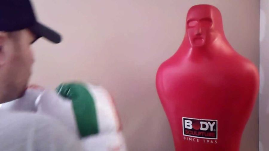 Best Punching Dummy (2021) - Boxing & BOB Punching Dummies