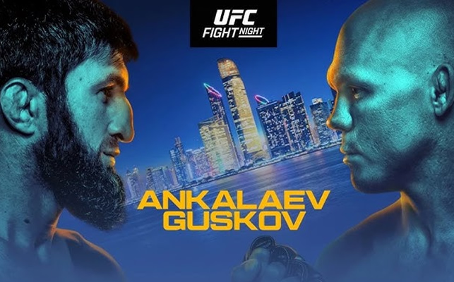 UFC Fight Night 282 Predictions
